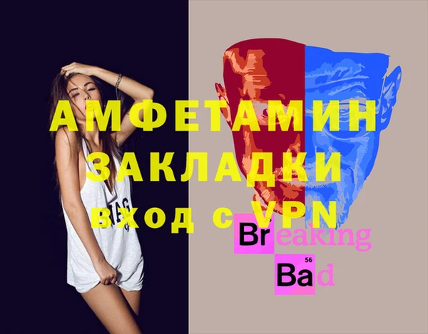 гидра Кодинск