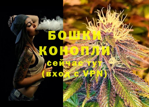 шишки Балабаново