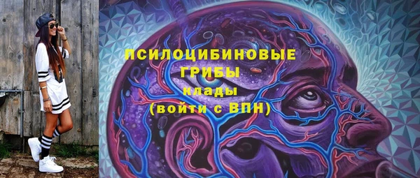 шишки Балабаново