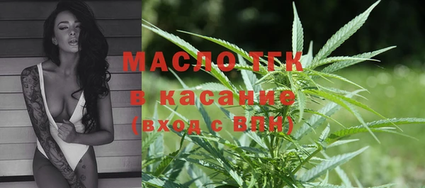 эйфоретик Аркадак