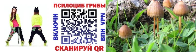 Галлюциногенные грибы мицелий Дагестанские Огни