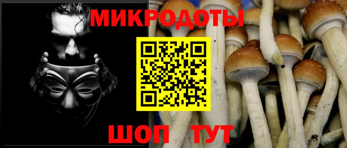 Галлюциногенные грибы Psilocybe  купить наркотики цена  Дагестанские Огни  Вход с VPN 